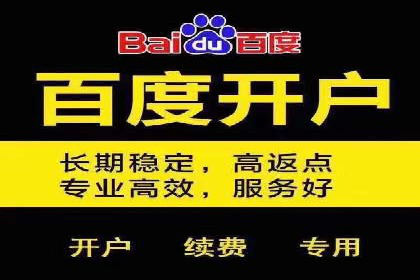 案例研究：SEM关键词优化效果对比